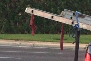 Truly A Veteran Ladder Ragger with very old ladder rags tied to his ladder. Lets Turn Him Into a Compliant Ladder Flagger